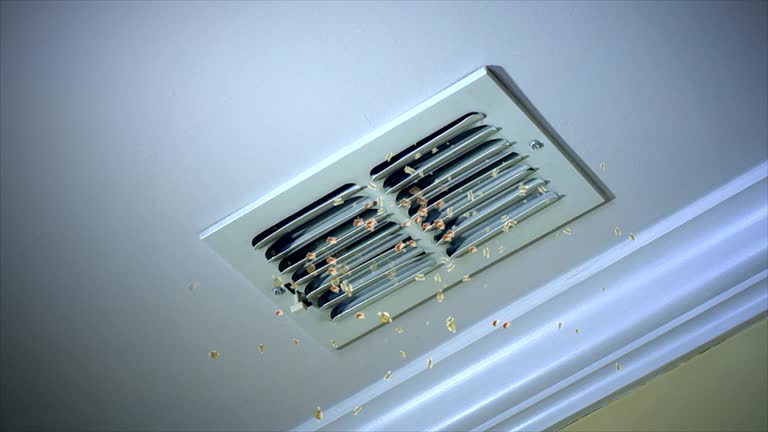 Best Air Duct Cleaning Near Me in FL