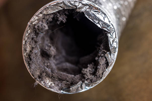 Best Local Air Duct Cleaning Services  in Palmetto, FL