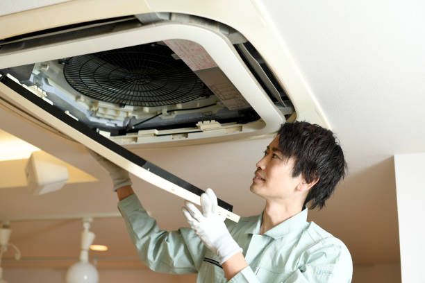 Best Affordable Duct Cleaning Services  in Palmetto, FL